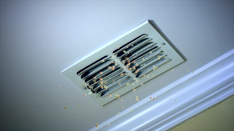 Best Ductwork Cleaning Services  in Burbank, CA