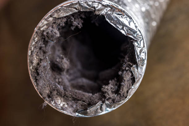 Best Air Duct Sanitizing Services  in Burbank, CA